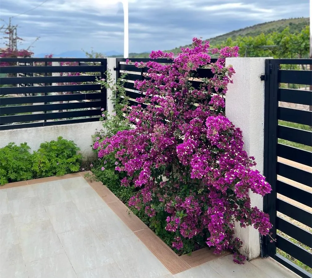 Hotel Roas Ksamil Albania